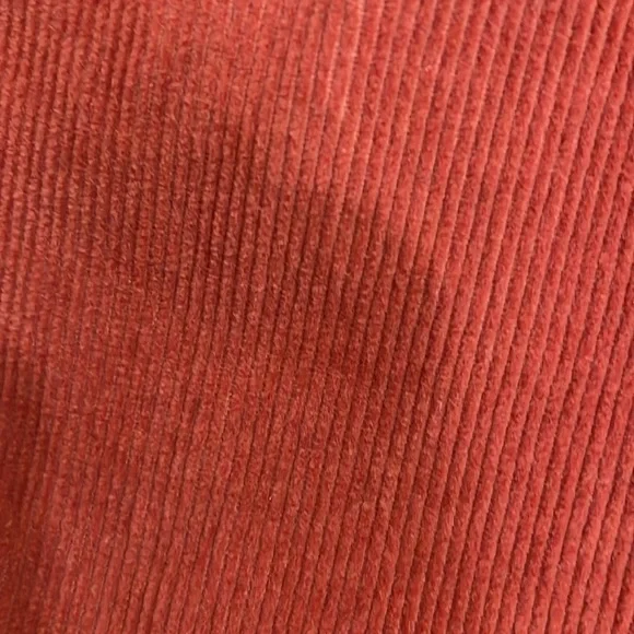 Pilcro & Letterpress Jeans - Picture 7 of 9